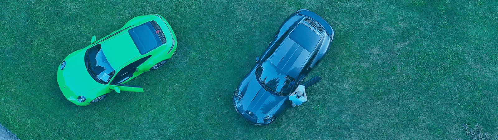 Header Picture